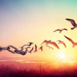 Profile photo of monta